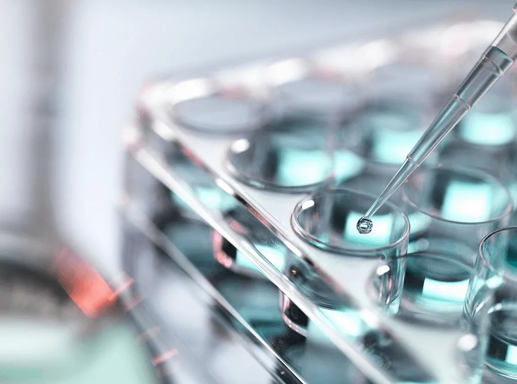 Chemical and Material Industry