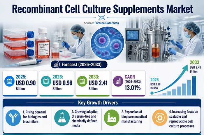 Recombinant Cell Culture Supplements Market Size to Hit USD 2.41 Billion by 2033